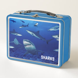 Lunch Box-Sharks Metal Lunch Box