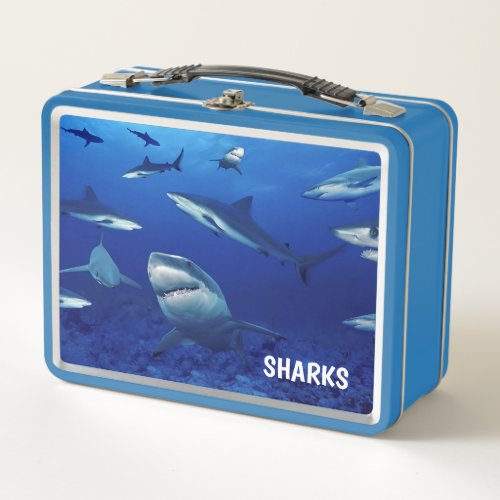 Lunch Box_Sharks Metal Lunch Box