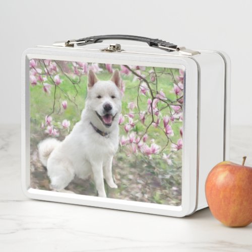 Lunch Box _ White Akita