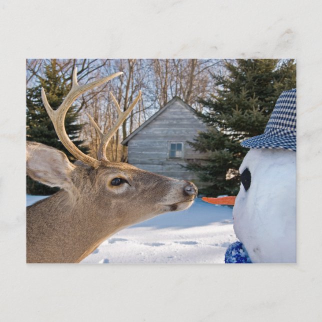 Lunch Invite (Front)