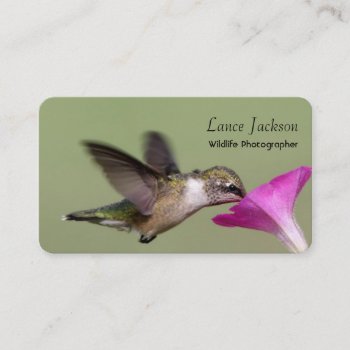 Lunch On The Go Business Card by TheBusinessGallery at Zazzle