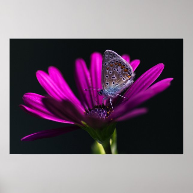 Lunch time poster (Front)