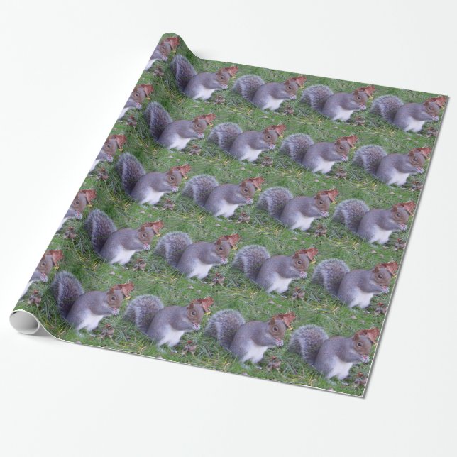 Lunch Time Wrapping Paper (Unrolled)
