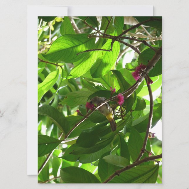 Lunchtime at the Tree (Front)