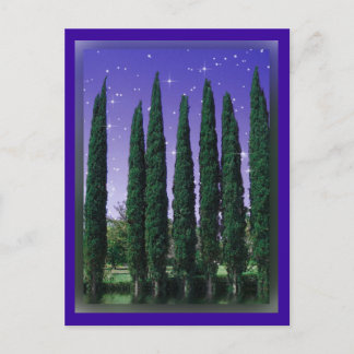 Lundblade Conifers - Starry Eve, postcard