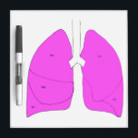 Lung anatomy dry erase board<br><div class="desc">Picture of both lungs on dry erase board
Good for describing procedures on lungs
Geared towards thoracic surgeons and pulmonologists</div>