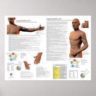 Lung Meridian Acupuncture Points Poster