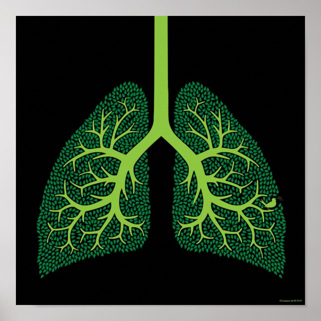Lung Tree Poster (Front)