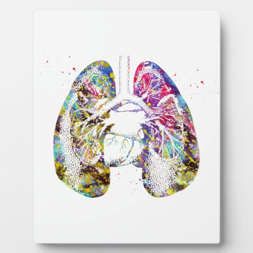 Lungs and Heart Plaque