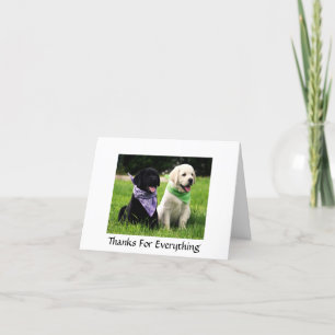 Lupabrador Retriever Thank You Card