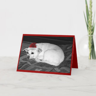 lupe card
