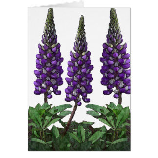 Lupin Cards