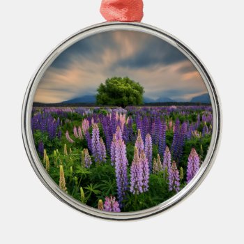 Lupin Field In New Zealand Metal Ornament by intothewild at Zazzle