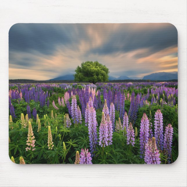 Lupin Field in New Zealand Mouse Pad (Front)