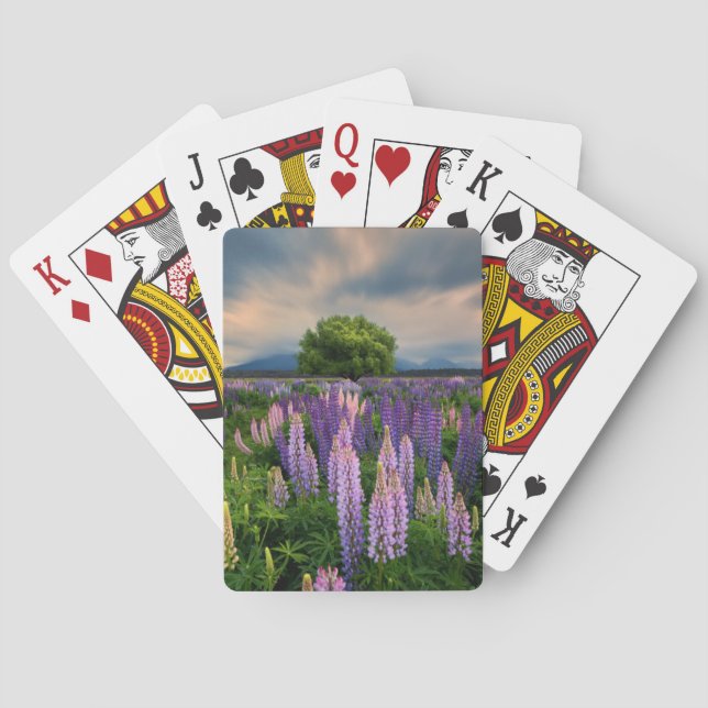 Lupin Field in New Zealand Poker Cards (Back)