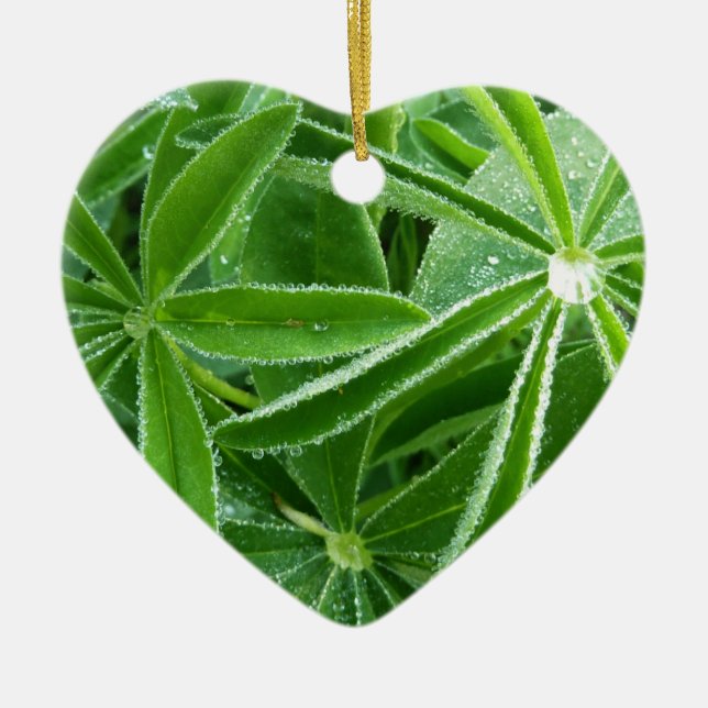 Lupin Leaves Botanical Photography Ceramic Ornament (Front)