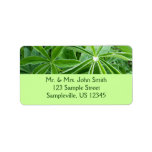Lupin Leaves Botanical Photography Label