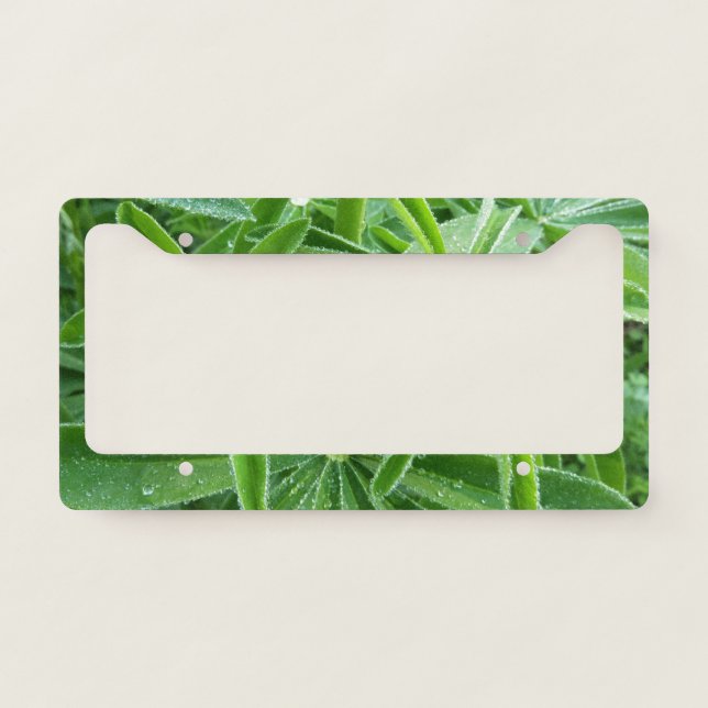 Lupin Leaves Botanical Photography License Plate Frame (Front)