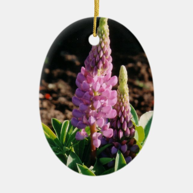 Lupin Ornament (Front)