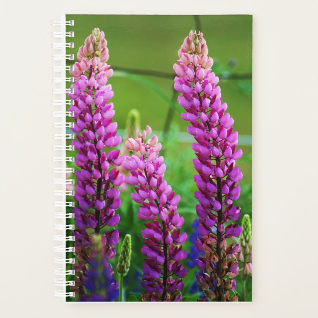 Lupin Small Soft Cover, White Spiral Planner (Front)
