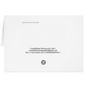 Lupine 01 (Back Horizontal)