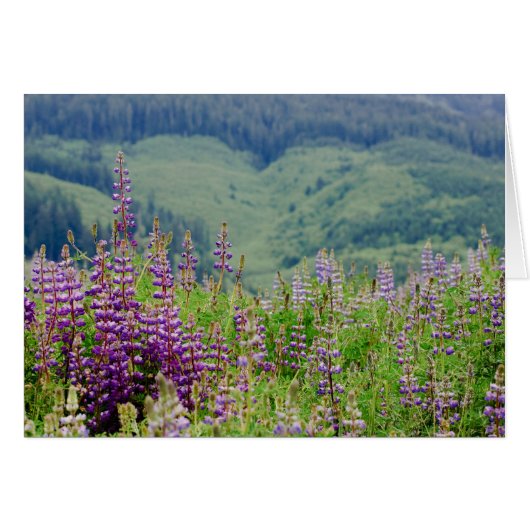 Lupine 01 cards (Front Horizontal)