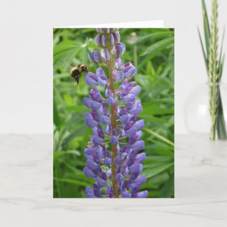 Lupine and bee notecard