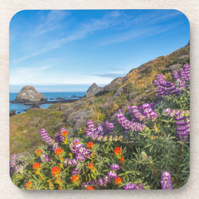 Lupine And Paintbrush Wildflowers Beverage Coaster (Front)