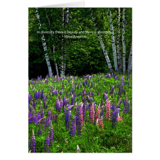 Lupine Field Celebrates Diversity Cards (Front)