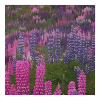 Lupine Flower Field Nature Aesthetic Print
