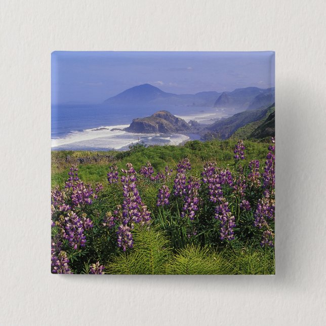 Lupine flowers and rugged coastline along pinback button (Front)