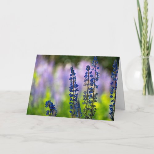 Lupine Happy Hanukkah Card
