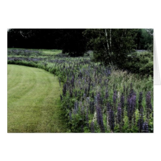 Lupine Margin Cards (Front Horizontal)