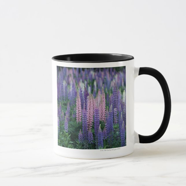 Lupine Mug (Right)