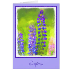 Lupine Painting - Original Flower Art Cards
