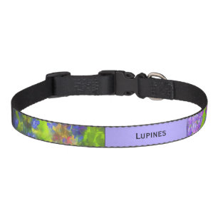 Lupine Painting - Original Flower Art Pet Collar