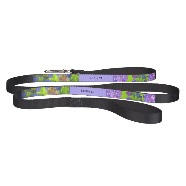 Lupine Painting - Original Flower Art Pet Leash (Full)