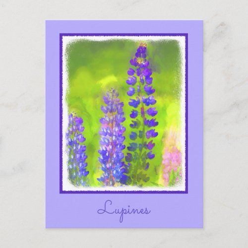 Lupine Painting _ Original Flower Art Postcard