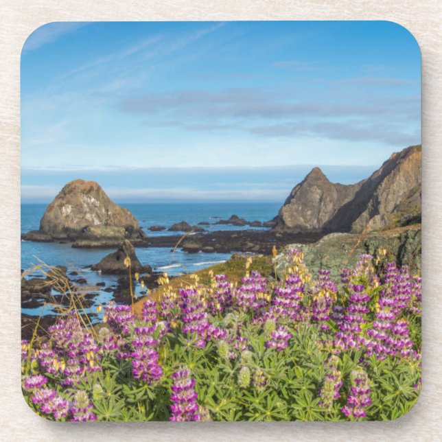 Lupine Wildflowers Cover The Hills Drink Coaster (Front)