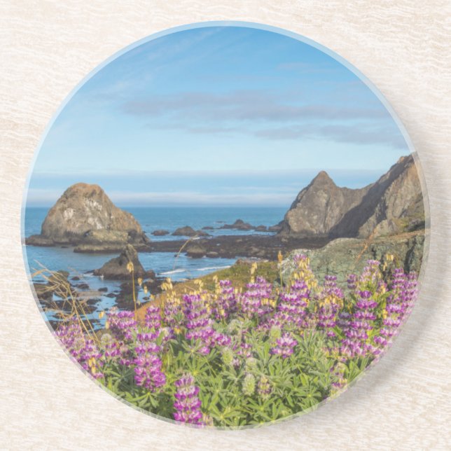 Lupine Wildflowers Cover The Hills Sandstone Coaster (Front)