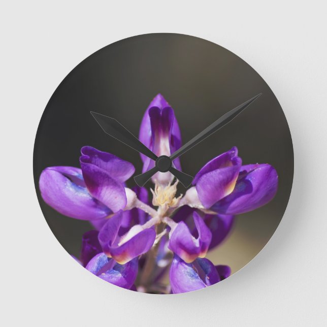 Lupine Wonder Round Clock (Front)