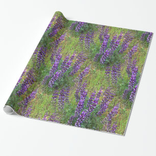 Lupines Galore... Wrapping Paper