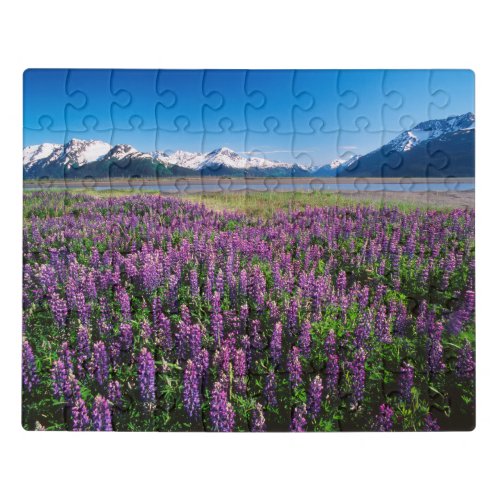Lupines in Bloom  Kenai Mountains Alaska Jigsaw Puzzle