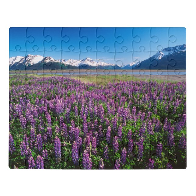 Lupines in Bloom | Kenai Mountains, Alaska Jigsaw Puzzle (Puzzle Horizontal)