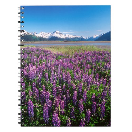 Lupines in Bloom  Kenai Mountains Alaska Notebook