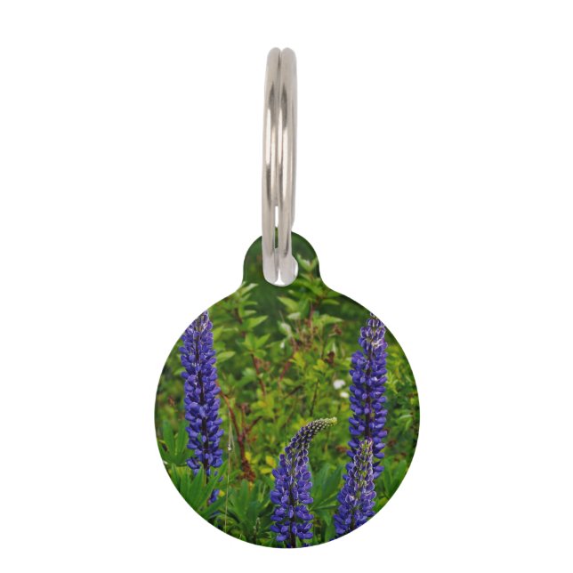 Lupines Pet ID Tag (Front)