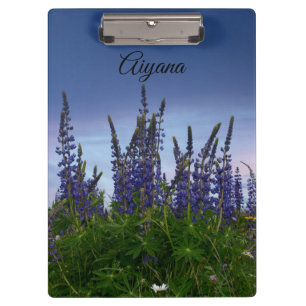 Lupins clipboard