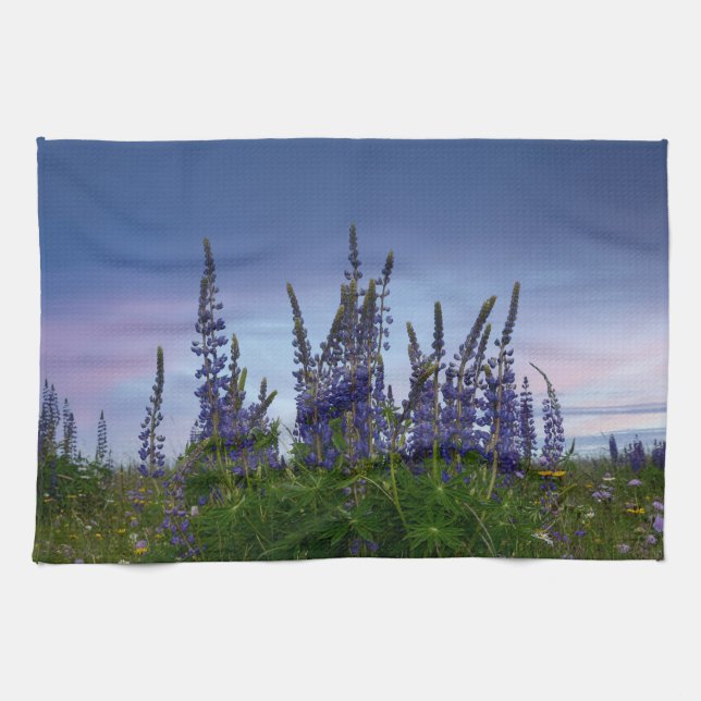 Lupins     kitchen towel (Horizontal)