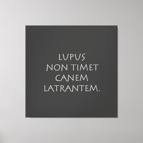 Lupus non timet canem latrantem canvas print