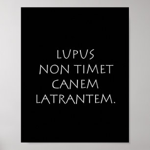 Lupus non timet canem latrantem poster